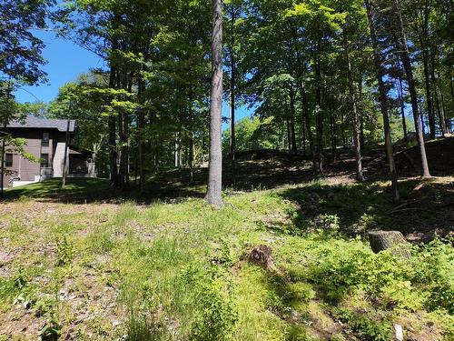 Overall view - 27 Imp. Makwa, Cantley, QC 