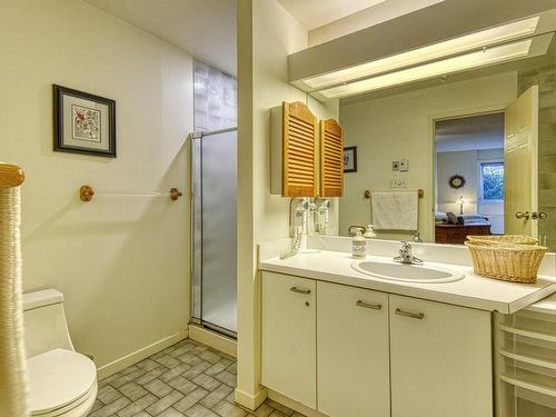 Ensuite bathroom - 310-113 Rue Cuttle, Mont-Tremblant, QC - Indoor Photo Showing Bathroom