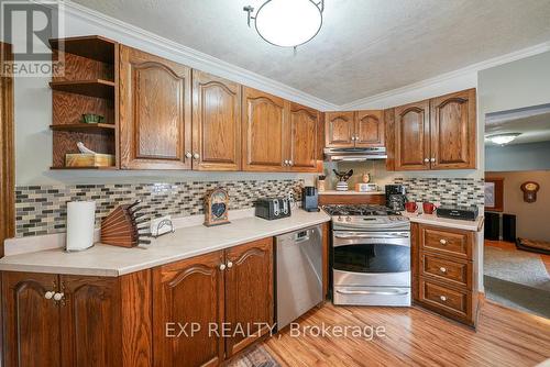 41 Queen Street, Strathroy-Caradoc (Caradoc), ON - Indoor Photo Showing Kitchen