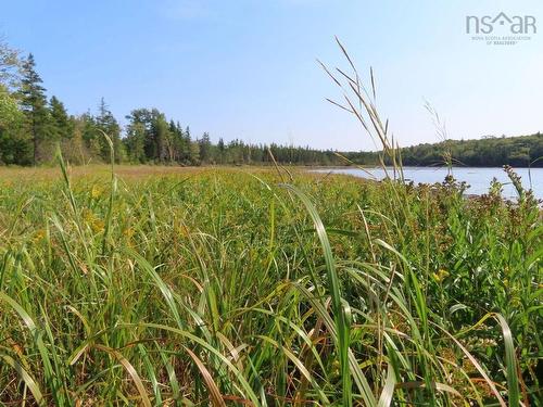 Lot 5 Basin Road, Evanston, NS 