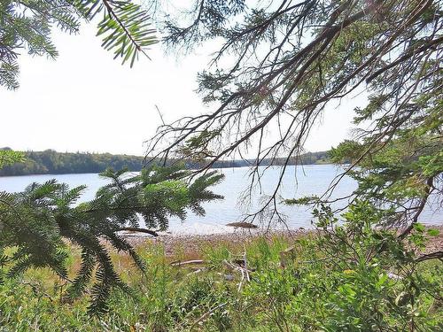 Lot 5 Basin Road, Evanston, NS 