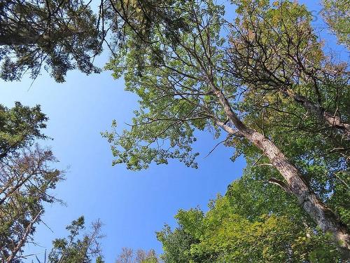 Lot 5 Basin Road, Evanston, NS 
