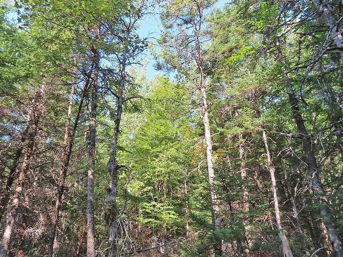 Lot 5 Basin Road, Evanston, NS 