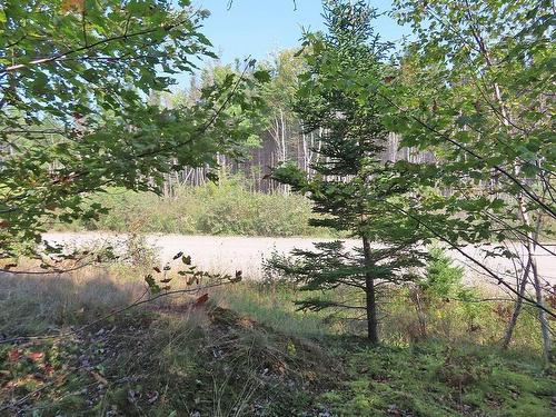 Lot 5 Basin Road, Evanston, NS 
