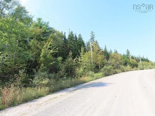 Lot 5 Basin Road, Evanston, NS 