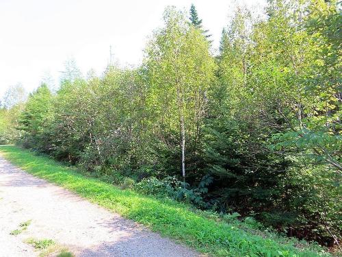 Lot 5 Basin Road, Evanston, NS 