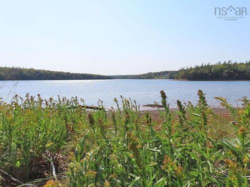 Lot 5 Basin Road, Evanston, NS 