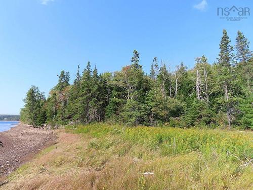 Lot 5 Basin Road, Evanston, NS 