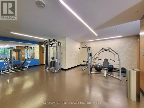 3301 - 36 Park Lawn Road, Toronto, ON - Indoor Photo Showing Gym Room