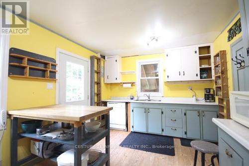 52 Lake St Peter Road, Hastings Highlands, ON - Indoor Photo Showing Kitchen With Double Sink