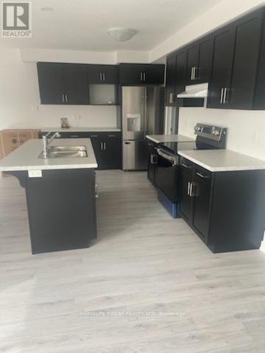 203 Jackson Street E, West Grey, ON - Indoor Photo Showing Kitchen With Double Sink