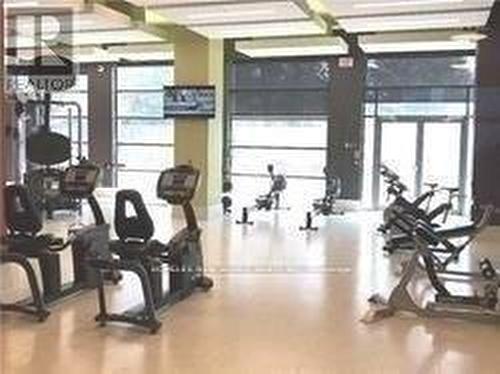 2007 - 55 Ann O'Reilly Road, Toronto, ON - Indoor Photo Showing Gym Room