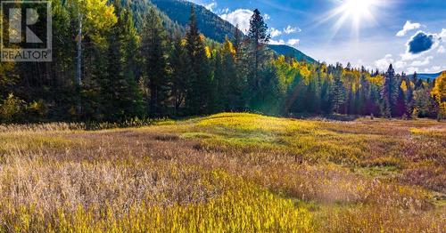 Lot 1 Corn Creek Road, Creston, BC 