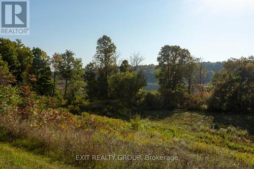 #45-152 Concession Road 11 W, Trent Hills (Hastings), ON - Outdoor With View