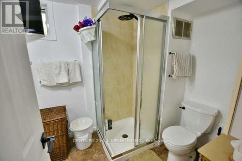 24 Mason Road, Collingwood, ON - Indoor Photo Showing Bathroom