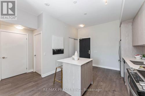 207 - 55 Duke Street W, Kitchener, ON - Indoor Photo Showing Kitchen