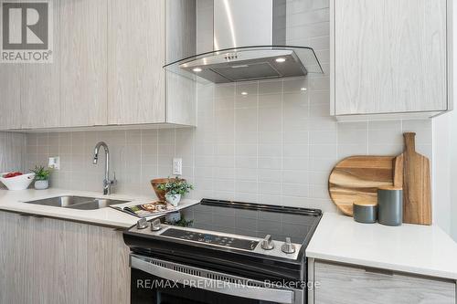 207 - 55 Duke Street W, Kitchener, ON - Indoor Photo Showing Kitchen With Double Sink With Upgraded Kitchen