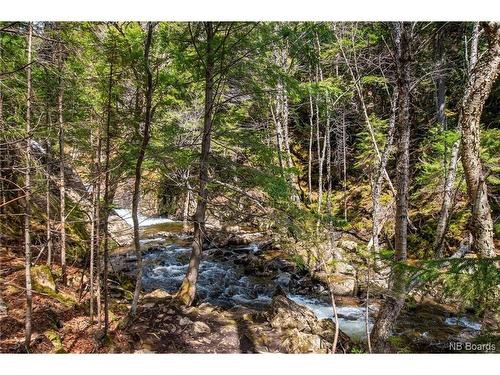 Lot Moss Glen Shore Rd, Clifton Royal, NB 