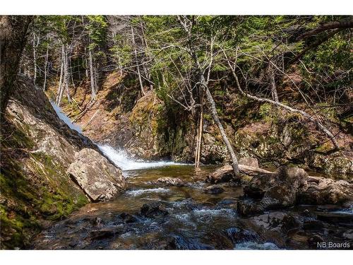 Lot Moss Glen Shore Rd, Clifton Royal, NB 