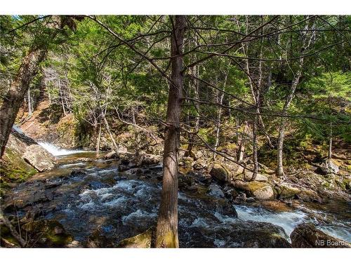 Lot Moss Glen Shore Rd, Clifton Royal, NB 