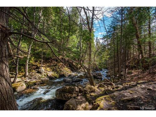 Lot Moss Glen Shore Rd, Clifton Royal, NB 