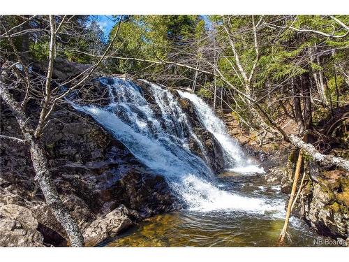 Lot Moss Glen Shore Rd, Clifton Royal, NB 