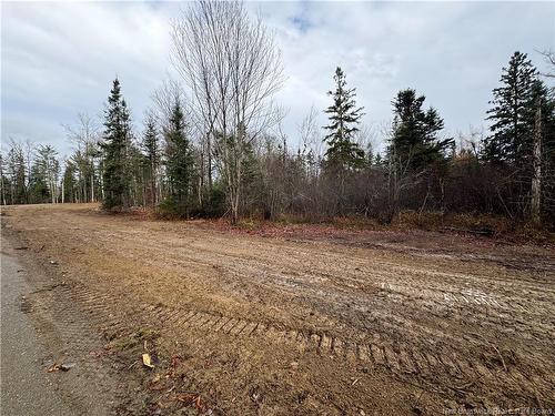 - Thomas Creek Lane, Oak Bay, NB 