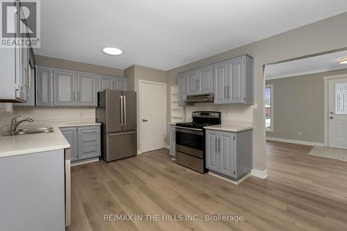 45 Algoma Crescent, Hamilton, ON - Indoor Photo Showing Kitchen With Double Sink