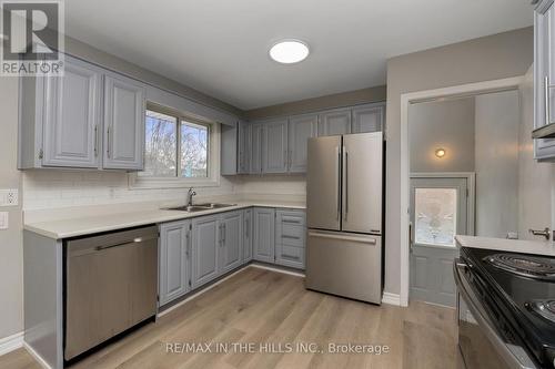 45 Algoma Crescent, Hamilton, ON - Indoor Photo Showing Kitchen With Double Sink