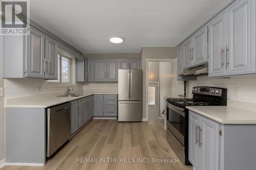 45 Algoma Crescent, Hamilton, ON - Indoor Photo Showing Kitchen With Double Sink