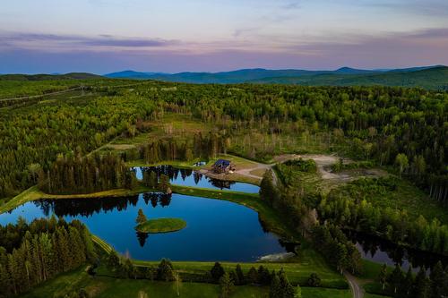 Terre/Terrain - 80 Ch. Lebel, Saint-Herménégilde, QC - Outdoor With View