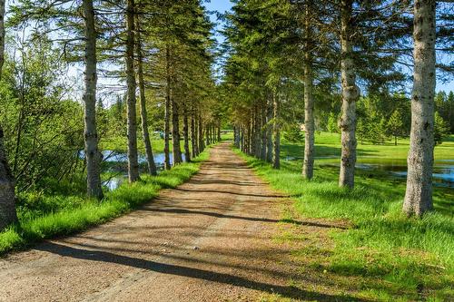 Terre/Terrain - 80 Ch. Lebel, Saint-Herménégilde, QC - Outdoor With View