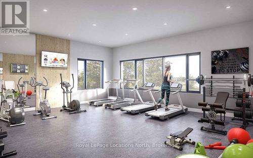 Lot 48 - 206080 Highway 26, Meaford, ON - Indoor Photo Showing Gym Room