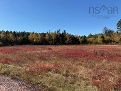 100 Acres Spencers Beach (Hwy 209) Road Spencers Island, NS B0M 1S0