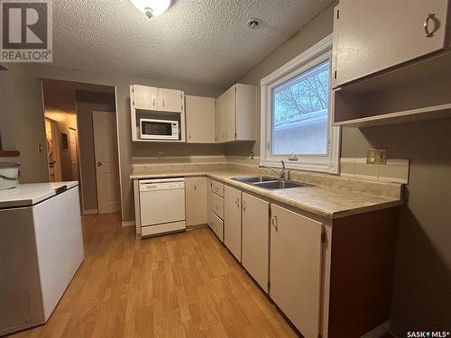 171 Cooper Crescent, Regina, SK - Indoor Photo Showing Kitchen With Double Sink