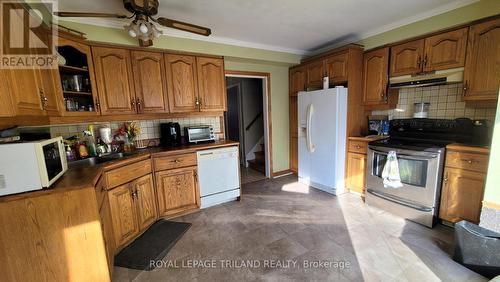 29 Wadsworth Street, London, ON - Indoor Photo Showing Kitchen