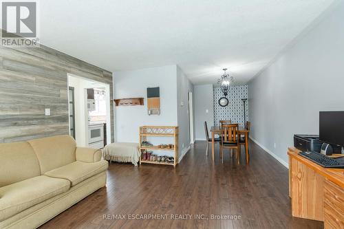 117 Anna Capri Drive, Hamilton, ON - Indoor Photo Showing Living Room