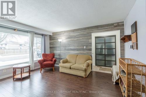 117 Anna Capri Drive, Hamilton, ON - Indoor Photo Showing Living Room