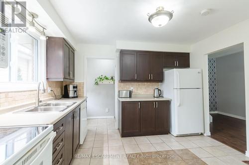 117 Anna Capri Drive, Hamilton, ON - Indoor Photo Showing Kitchen With Double Sink