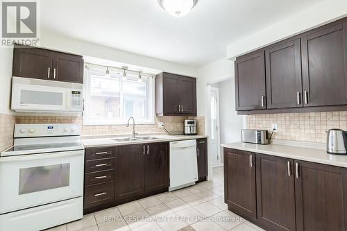 117 Anna Capri Drive, Hamilton, ON - Indoor Photo Showing Kitchen With Double Sink