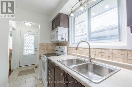 117 Anna Capri Drive, Hamilton, ON - Indoor Photo Showing Kitchen With Double Sink