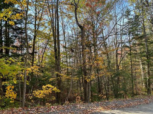 Terre/Terrain - Ch. Des Riverains, Austin, QC 