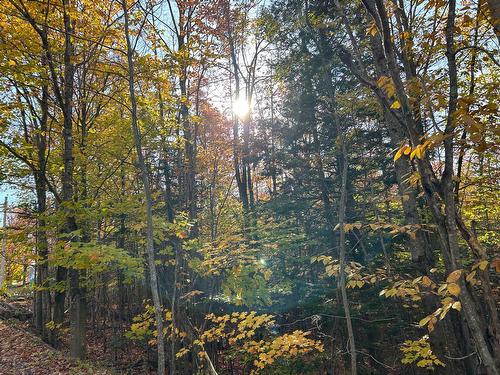 Terre/Terrain - Ch. Des Riverains, Austin, QC 