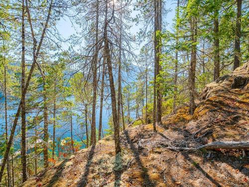 Sl 3-11196 Taylor Arm Dr, Port Alberni, BC 