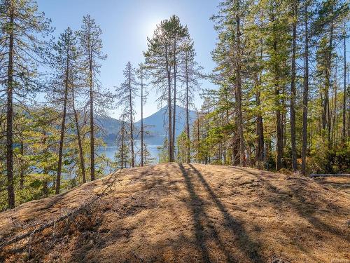 Sl 3-11196 Taylor Arm Dr, Port Alberni, BC 