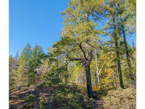 Sl 3-11196 Taylor Arm Dr, Port Alberni, BC 