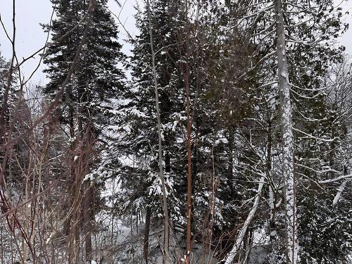 Land/Lot - 1385 Ch. De La Presqu'Île, Labelle, QC - Outdoor