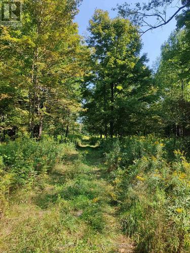 0East2 Road Allowance Road, Havelock-Belmont-Methuen (Belmont-Methuen), ON 