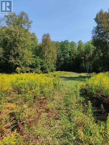 0East2 Road Allowance Road, Havelock-Belmont-Methuen (Belmont-Methuen), ON 