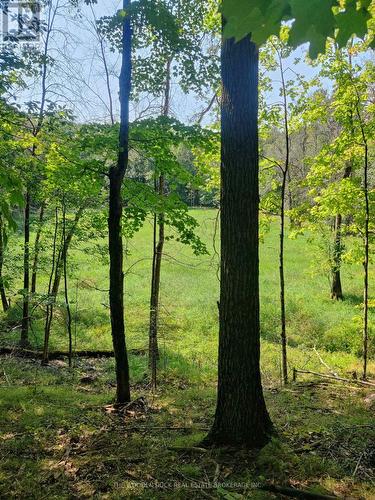 0East2 Road Allowance Road, Havelock-Belmont-Methuen (Belmont-Methuen), ON 